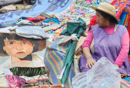 Peru_and_Bolivia_2025 (27/66)